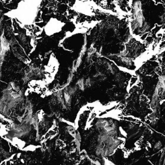 Meet your Posher, Jasmine - Picture 1 of 1